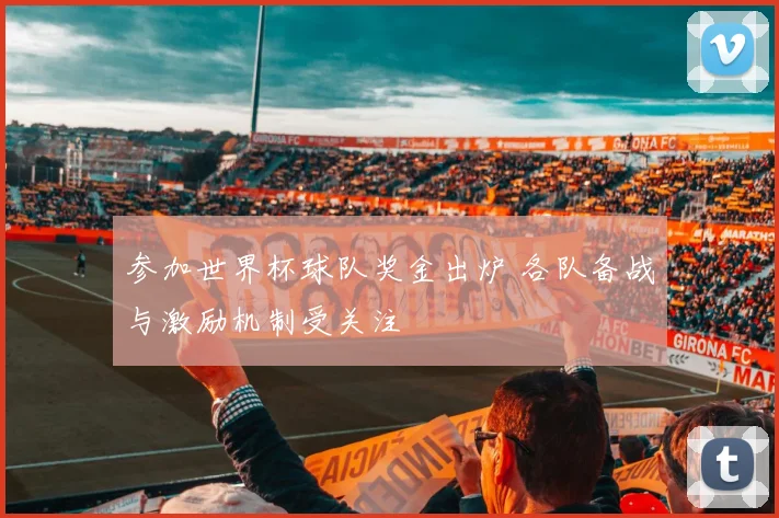 参加世界杯球队奖金出炉 各队备战与激励机制受关注
