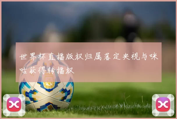 世界杯直播版权归属落定央视与咪咕获得转播权