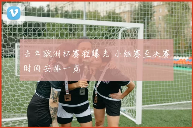 去年欧洲杯赛程曝光 小组赛至决赛时间安排一览