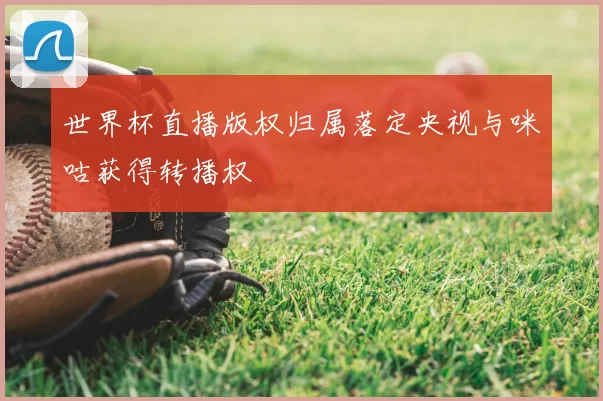世界杯直播版权归属落定央视与咪咕获得转播权